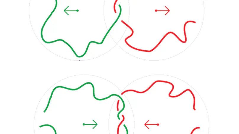 A highly coarse-grained model to simulate entangled polymer melts