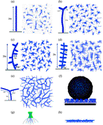 A kinetic chain growth algorithm in coarse-grained simulations