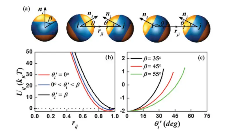 A simulation model for soft triblock Janus particles and their ordered packing