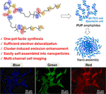 Amphiphilic Polyurethane with Cluster-Induced Emission for Multichannel Bioimaging in Living Cell Systems