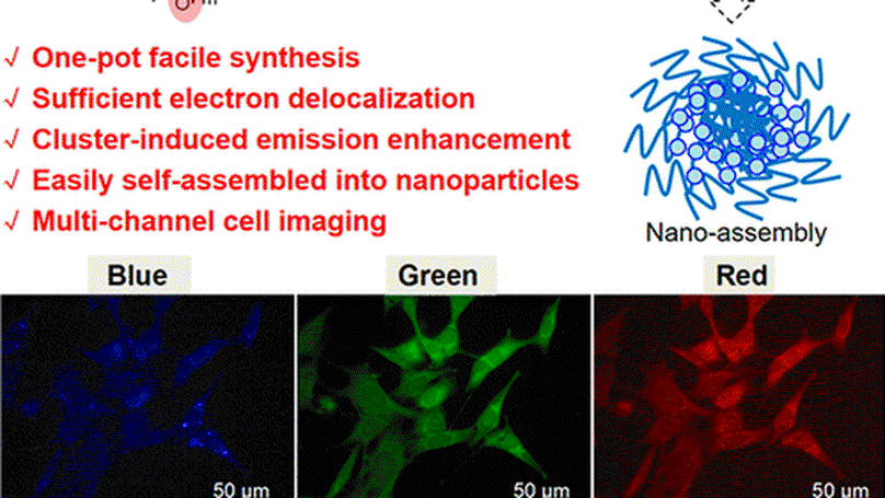 Amphiphilic Polyurethane with Cluster-Induced Emission for Multichannel Bioimaging in Living Cell Systems
