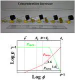 Associating behavior of one polyimide with high molecular weight in solution through a relatively weak interaction