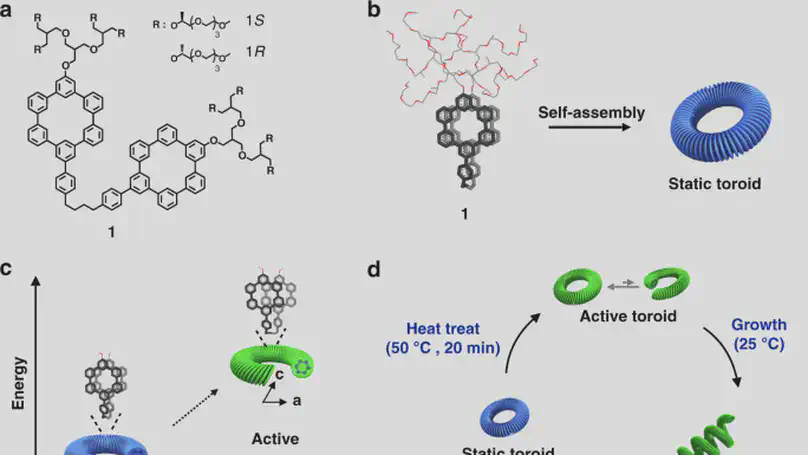 Autonomous helical propagation of active toroids with mechanical action