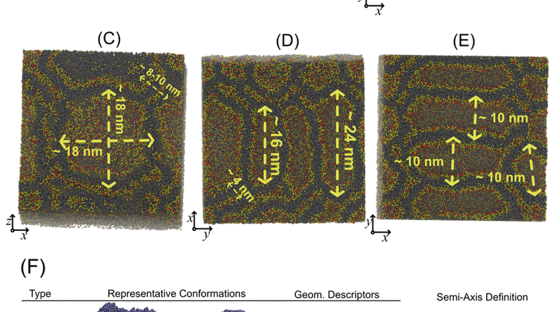 Bacterial lipids drive compartmentalization on the nanoscale