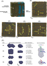 Bacterial lipids drive compartmentalization on the nanoscale