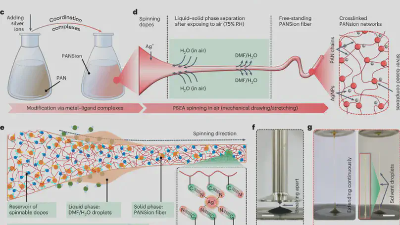 Biomimetic spinning of soft functional fibres via spontaneous phase separation