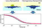 Brownian Diffusion of Individual Janus Nanoparticles at Water/Oil Interfaces