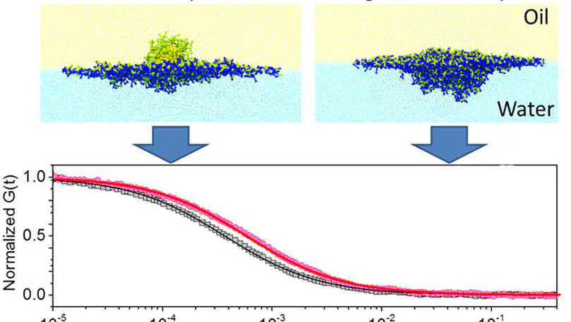 Brownian Diffusion of Individual Janus Nanoparticles at Water/Oil Interfaces