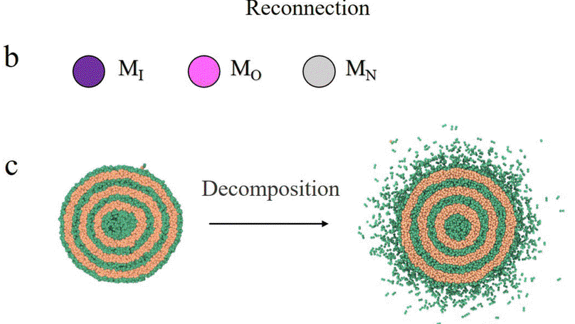 Controlled release mechanism of drugs from onion-like dendrimersomes:insight from dissipative particle dynamics simulations