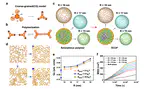 Controlling crystallization in covalent organic frameworks to  facilitate photocatalytic hydrogen production | Nature Communications
