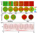 Defect transition of smectic liquid crystals confined in spherical cavities