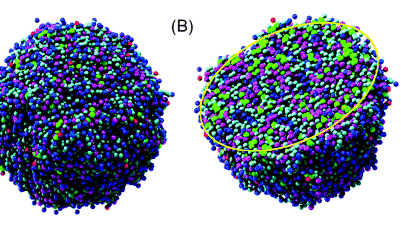 Development of phenylboronic acid-functionalized nanoparticles for emodin delivery