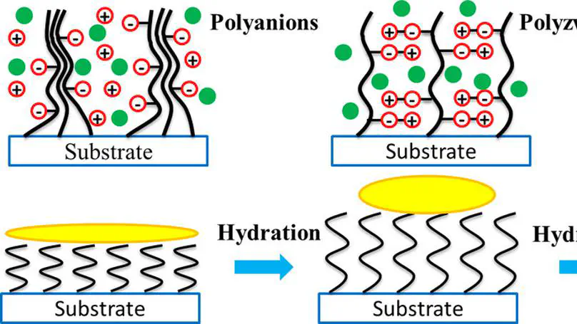 Effect of the Self-Assembled Structures of Hydrated Polyzwitterionic and Polyanionic Brushes on Their Self-Cleaning Capabilities