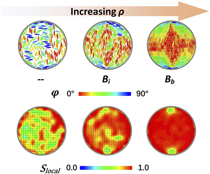 External field induced defect transformation in circular confined Gay ...