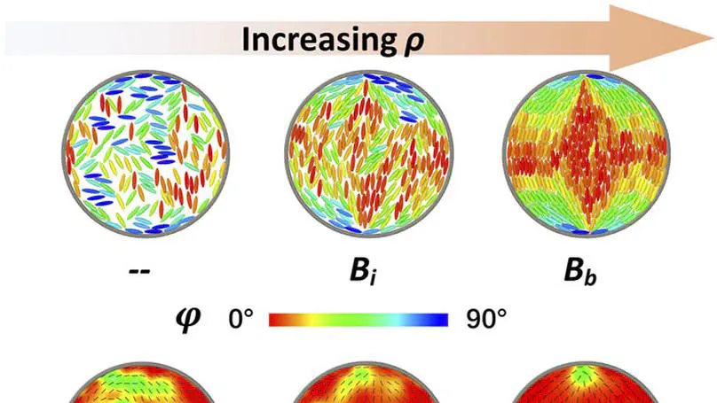External field induced defect transformation in circular confined Gay–Berne liquid crystals