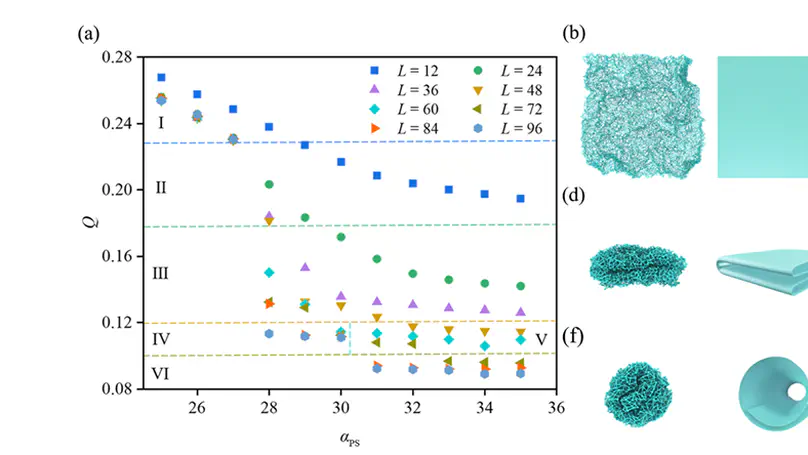 Folding behaviors of two-dimensional flexible polymers