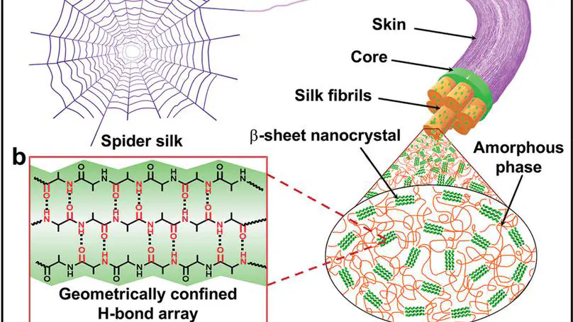 Healable and Recyclable Elastomers with Record-High Mechanical  Robustness, Unprecedented Crack Tolerance, and Superhigh Elastic  Restorability