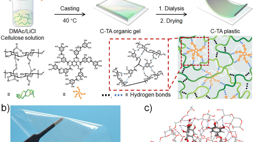 Highly tough, degradable, and water-resistant bio-based supramolecular plastics comprised of cellulose and tannic acid