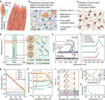 In Situ Grown Silver–Polymer Framework with Coordination Complexes for Functional Artificial Tissues