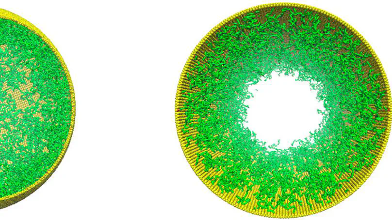 Influence of Grafting Surface Curvature on Chain Polydispersity and Molecular Weight in Concave Surface-Initiated Polymerization