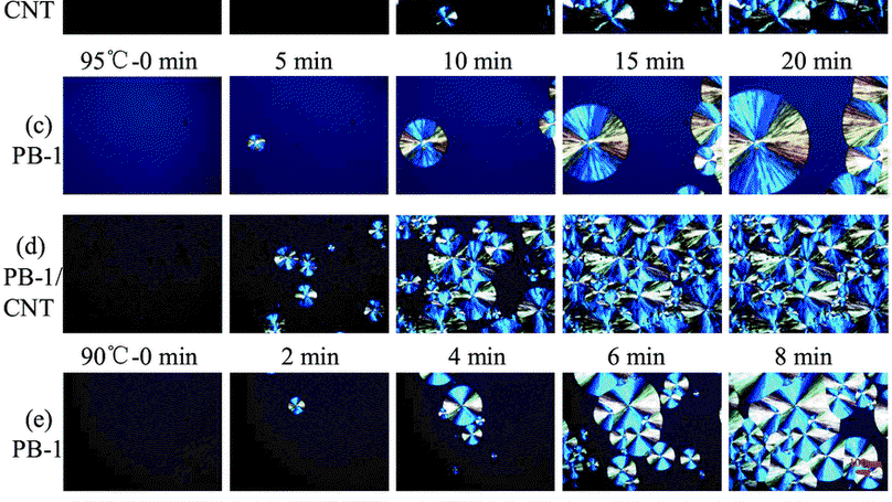 Influence of lamellar thickness on the transformation of isotactic polybutylene-1/carbon nanotube nanocomposites