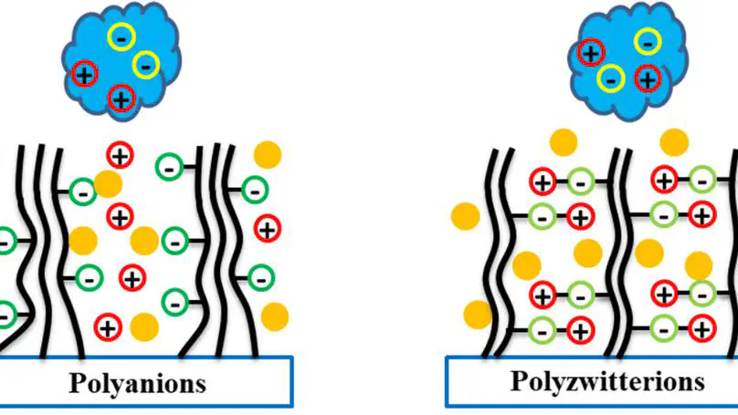 Interactions on Proteins Arising from the Self-Assembly of a Polyelectrolyte Brush