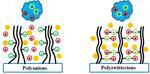 Interactions on Proteins Arising from the Self-Assembly of a Polyelectrolyte Brush