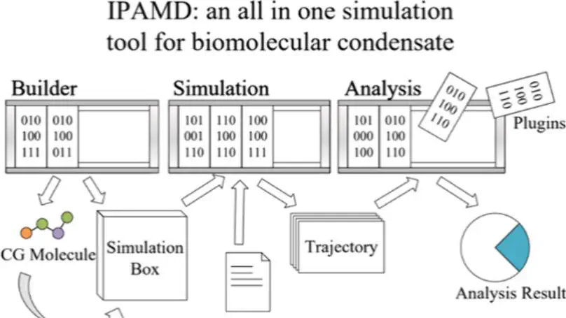 IPAMD:A Plugin-Based Software for Biomolecular Condensate Simulations