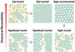 Mechanism for Topology Selection of Isomeric Two-Dimensional Covalent Organic Frameworks