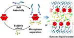 Nanocluster-Based Liquid Crystal Electrolytes for Deformation-Responsive Proton Conductors