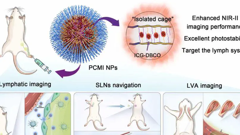 NIR-II fluorescence lymphatic imaging and intraoperative navigation based on the “isolated cage” monodisperse strategy