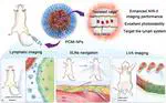 NIR-II fluorescence lymphatic imaging and intraoperative navigation based on the “isolated cage” monodisperse strategy