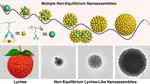 Non-equilibrium Nanoassemblies Constructed by Confined Coordination on a Polymer Chain