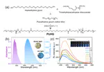 One-pot preparation of nonconventional luminescent polymer gels driven by polymerization