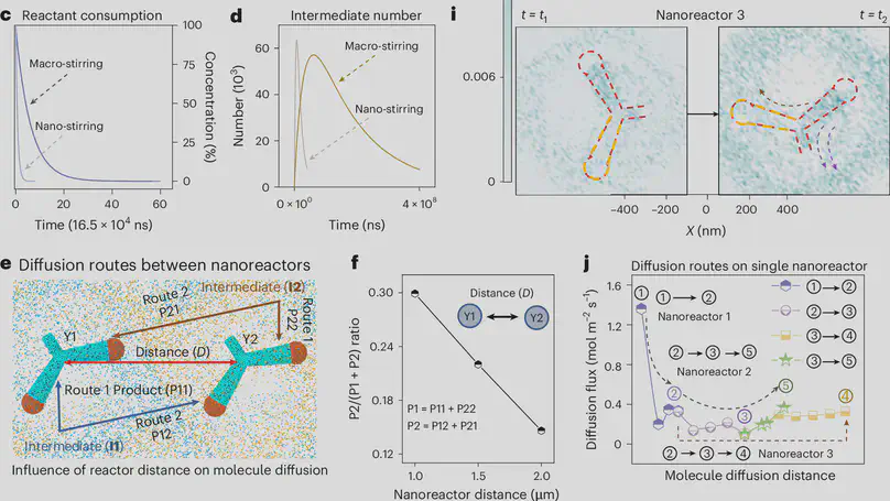 Paddle-like self-stirring nanoreactors with multi-chambered mesoporous branches for enhanced dual-dynamic cascade reactions