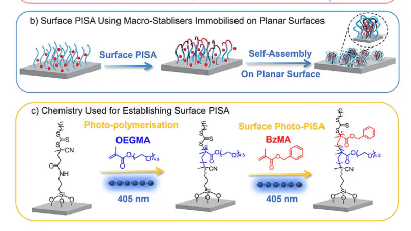 Polymerisation‐Induced Self‐Assembly on Planar Surfaces:A New  Approach for Controlling Surface Topography and Modulating Material‐Bio  Interactions