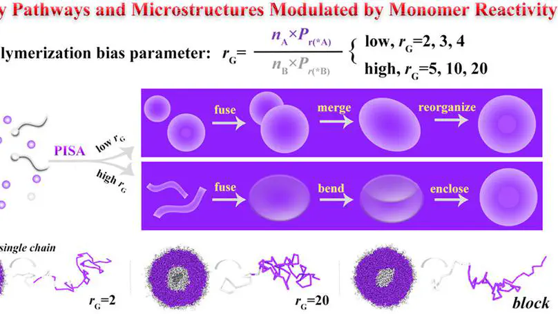 Polymerization-Induced Self-Assembly for Modulating Assembly  Pathways and Microstructures of Amphiphilic Gradient Copolymer  Nanoparticles