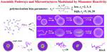 Polymerization-Induced Self-Assembly for Modulating Assembly  Pathways and Microstructures of Amphiphilic Gradient Copolymer  Nanoparticles