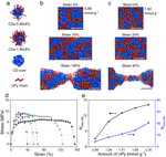 Recastable assemblies of carbon dots into mechanically robust macroscopic materials