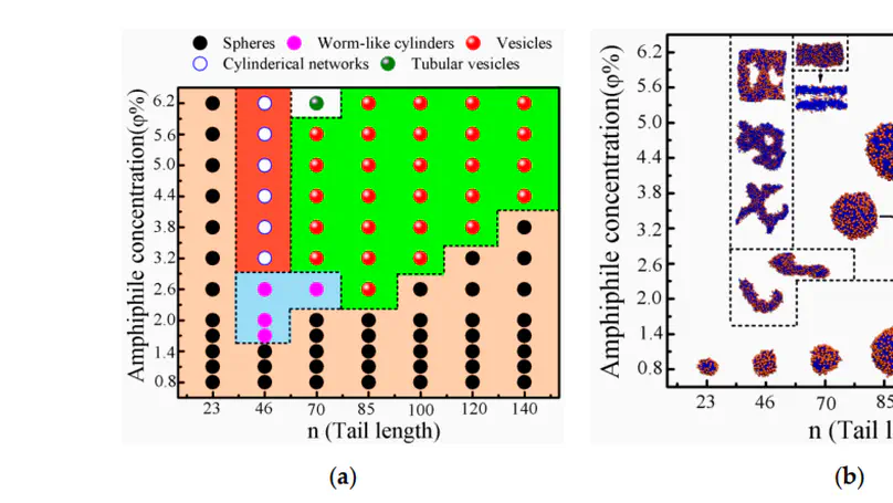 Self-Assembly of Single-Polymer-Tethered Nanoparticle Amphiphiles upon Varying Tail Length