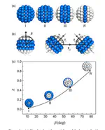 Self-assembly of two-patch particles in solution:a Brownian dynamics simulation study