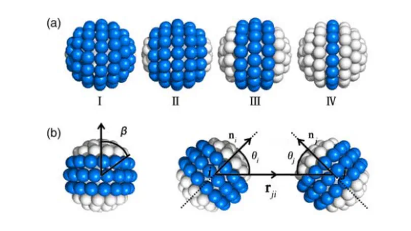 Self-assembly of two-patch particles in solution:a Brownian dynamics simulation study