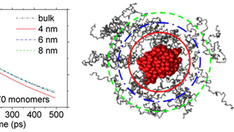 Structure and Dynamics Properties at Interphase Region in the  Composite of Polystyrene and Cross-Linked Polystyrene Soft Nanoparticle