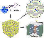 Supramolecular Anchoring of Polyoxometalate Amphiphiles into Nafion Nanophases for Enhanced Proton Conduction