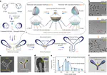 Synthesis of branched silica nanotrees using a nanodroplet sequential fusion strategy