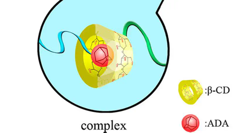 Synthesize Multiblock Copolymers via Complex Formations between  β-Cyclodextrin and Adamantane Groups Terminated at Diblock Copolymer  Ends:A Brownian Dynamics Simulation Study