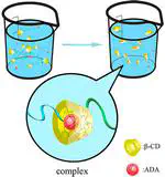 Synthesize Multiblock Copolymers via Complex Formations between  β-Cyclodextrin and Adamantane Groups Terminated at Diblock Copolymer  Ends:A Brownian Dynamics Simulation Study