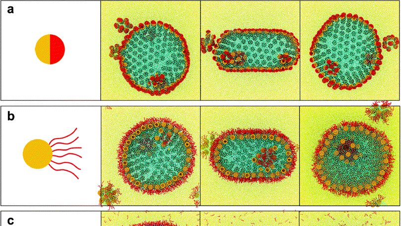 The advantages of nanoparticle surfactants over Janus nanoparticles on structuring liquids