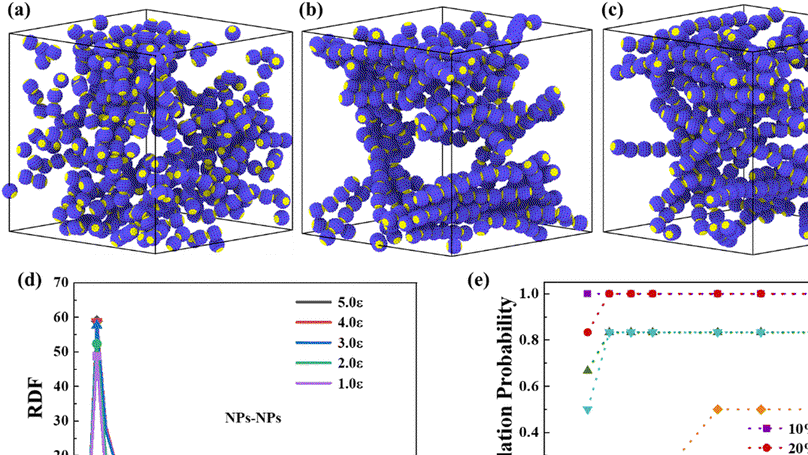 The design of highly conductive and stretchable polymer conductors with low-load nanoparticles