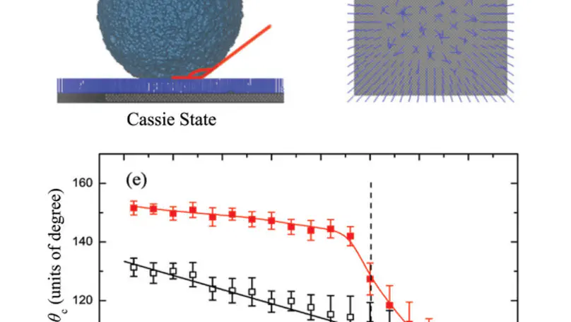 Tuning surface wettability by designing hairy structures